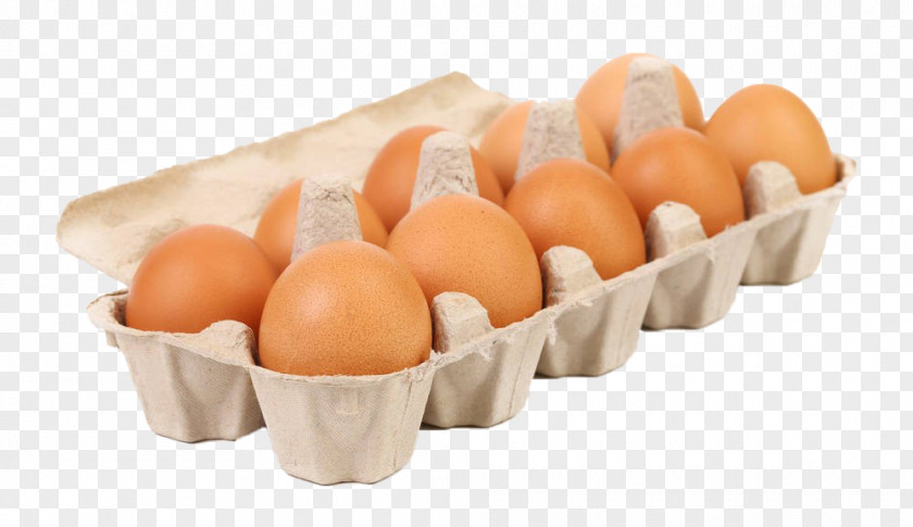 Yellow Egg Care Carton Paper Photography Box PNG