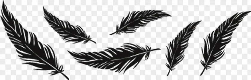 Feather Tattoo Drawing Bird Image PNG