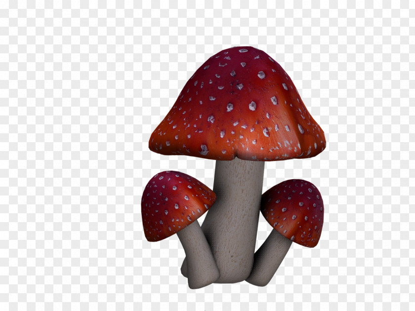Mushrooms Edible Mushroom Amanita Muscaria Fungus Boletus Edulis PNG