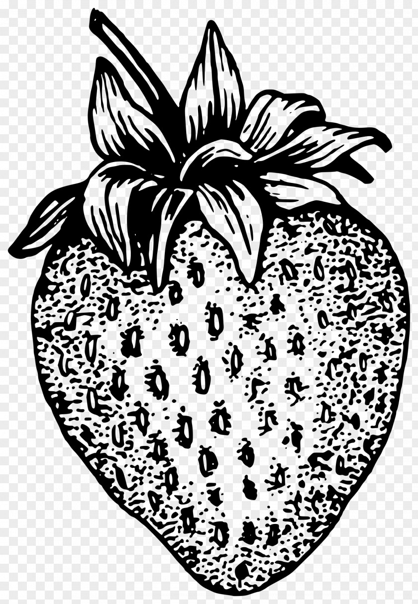 Strawberry Black And White Clip Art PNG