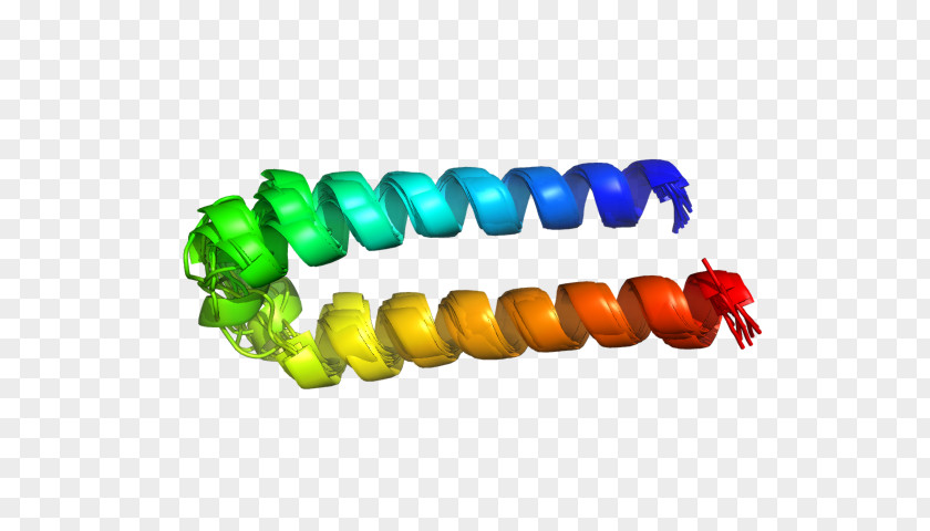 Bead PNG