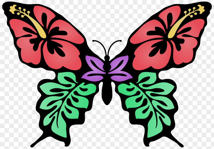 Butterfly Flower Drawing Color Clip Art PNG