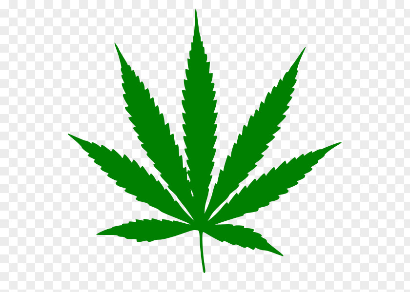 Cannabis Leaves Medical Sativa Marijuana Hemp PNG