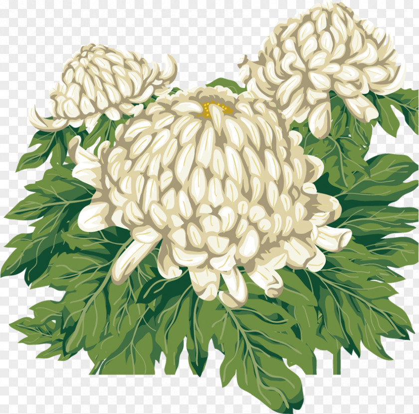 Chrysanthemum Clip Art PNG