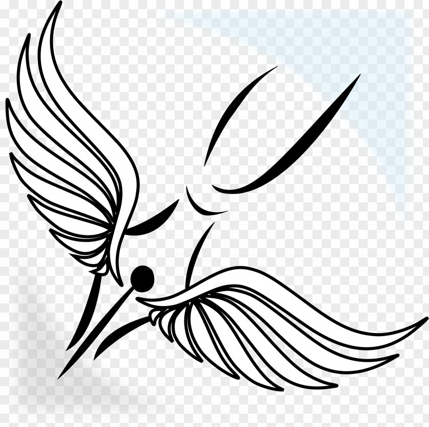 Feather Stencil Ms Chugh Pen Company Quill Drawing Fountain PNG