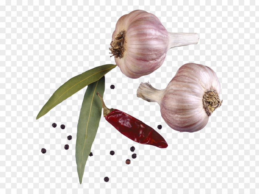 Garlic Condiment Spice Seasoning PNG