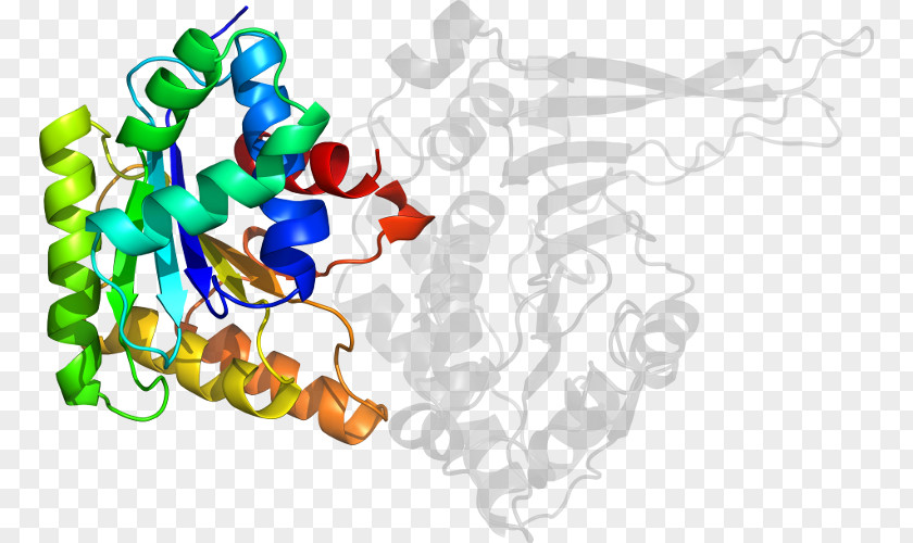 Glucose6phosphate Dehydrogenase Deficiency Clip Art Line PNG