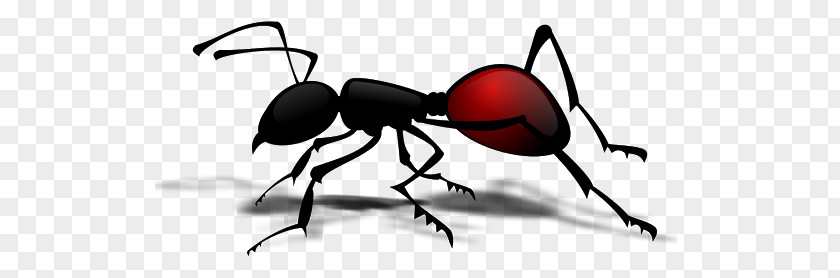 Insect Queen Ant Clip Art PNG