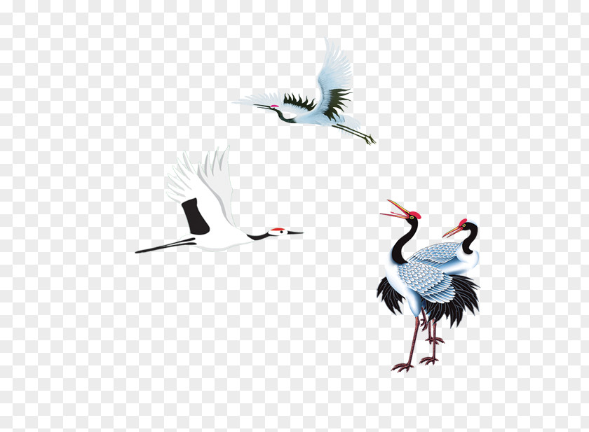 Red-crowned Crane Creative PNG