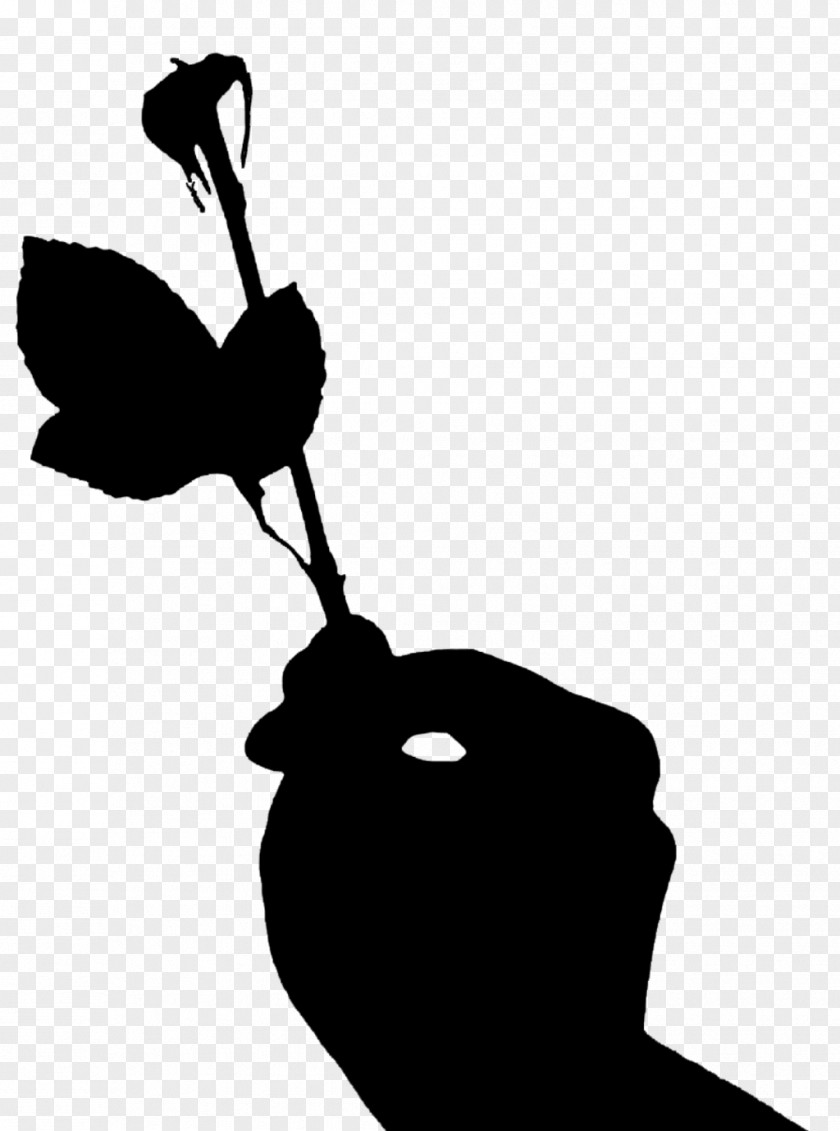 Rose Silhouette Free Clipart Love Always Brain Games Image Photograph TikTok PNG