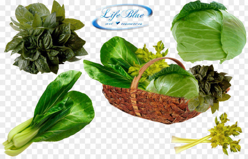 Vegetables Leaf Vegetable Food PNG