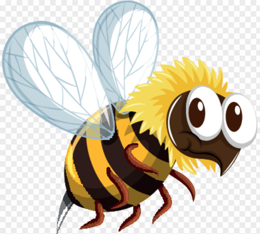 Bee Stock Illustration Vector Graphics Image PNG