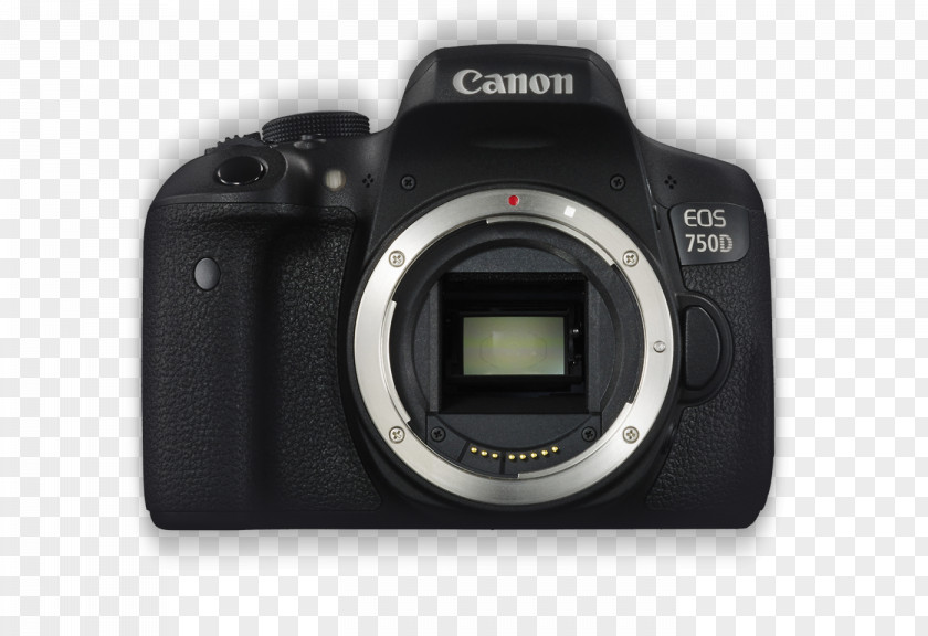Camera Canon EOS 750D 600D 700D Amazon.com Digital SLR PNG
