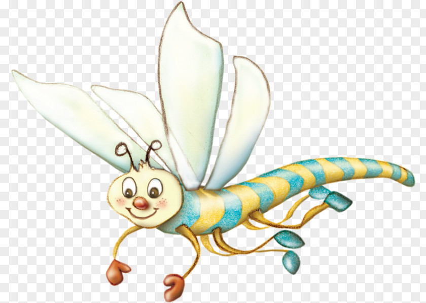 Cartoon Dragonfly Butterfly Illustration PNG