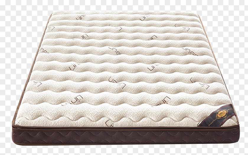 Comfortable Rebound Coir Mattress Pillow Simmons Bedding Company PNG