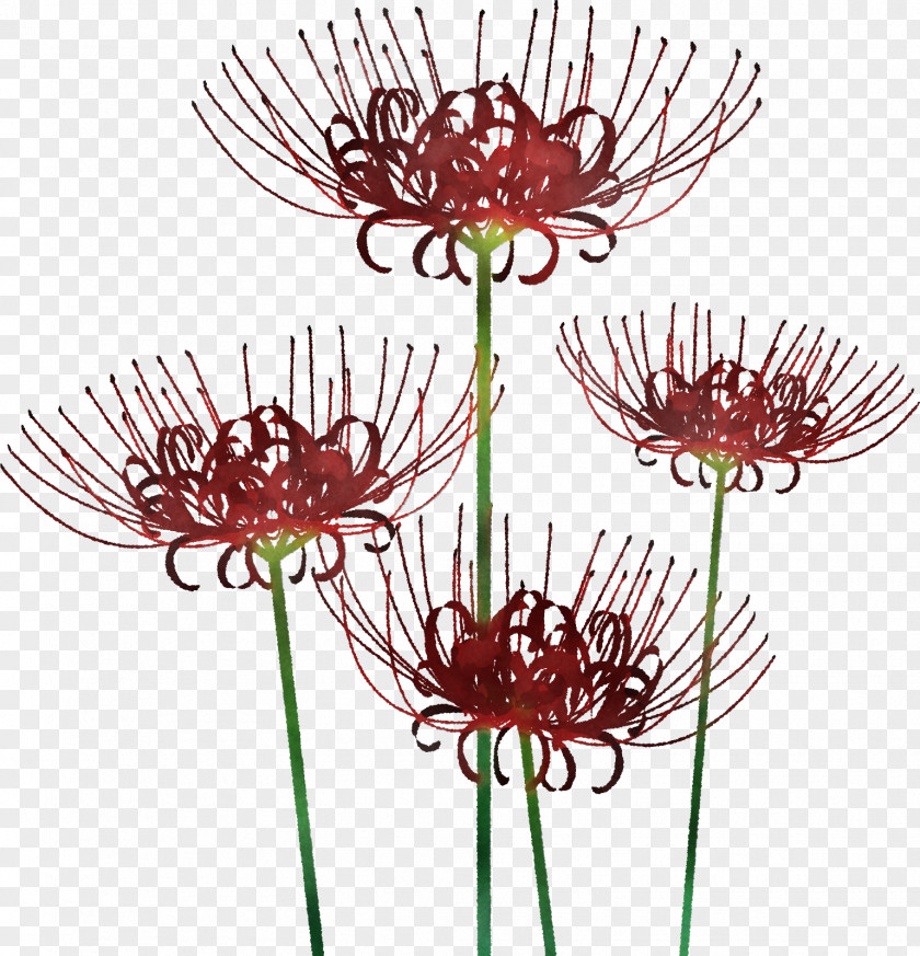 Floral Design PNG