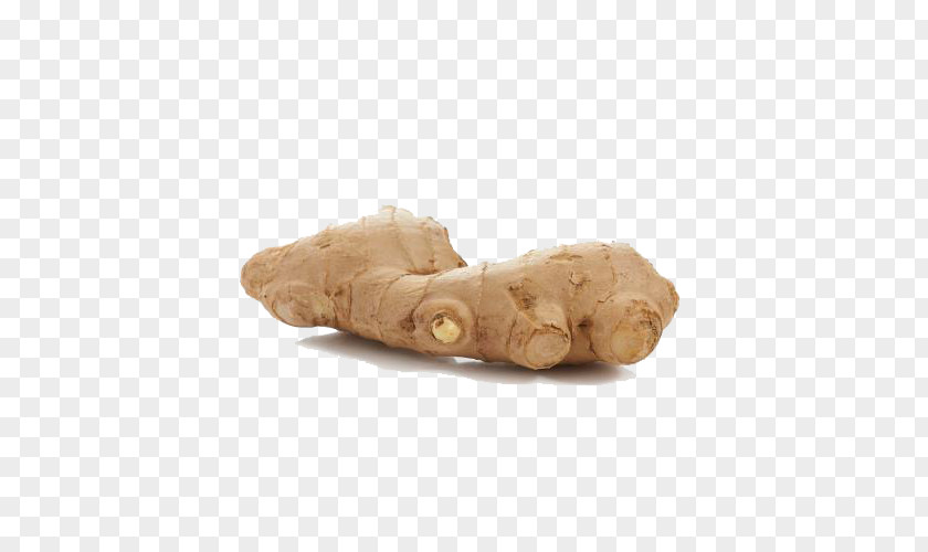 Free Ginger Snap Pictures PNG
