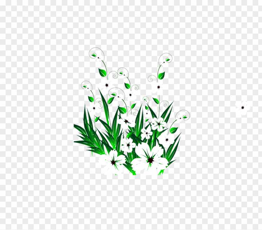Green Plants Grass Plant PNG