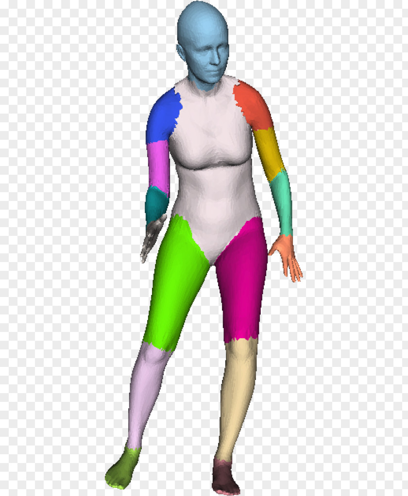 Human Body 3D Homo Sapiens Data Set PNG