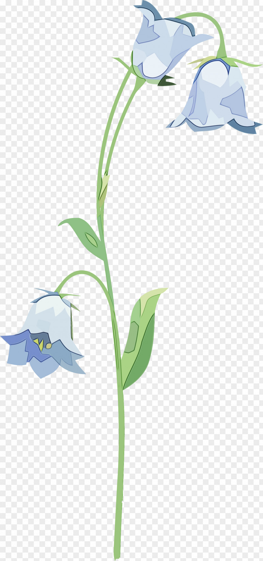 Lavender PNG