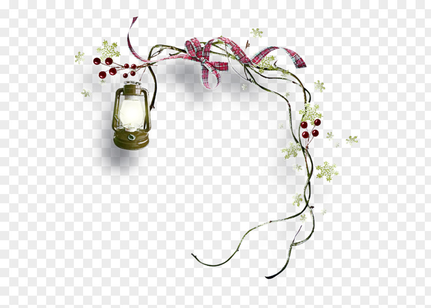 Plant Flower PNG