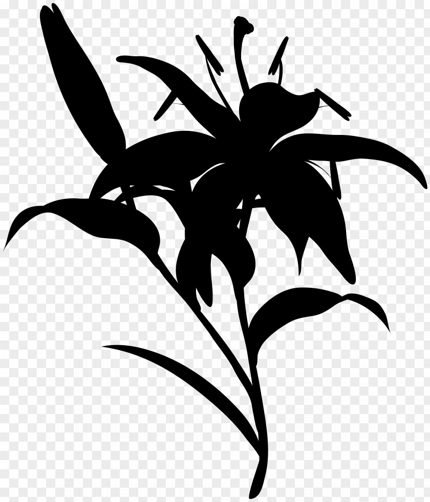 Clip Art Leaf Character Plant Stem Line PNG