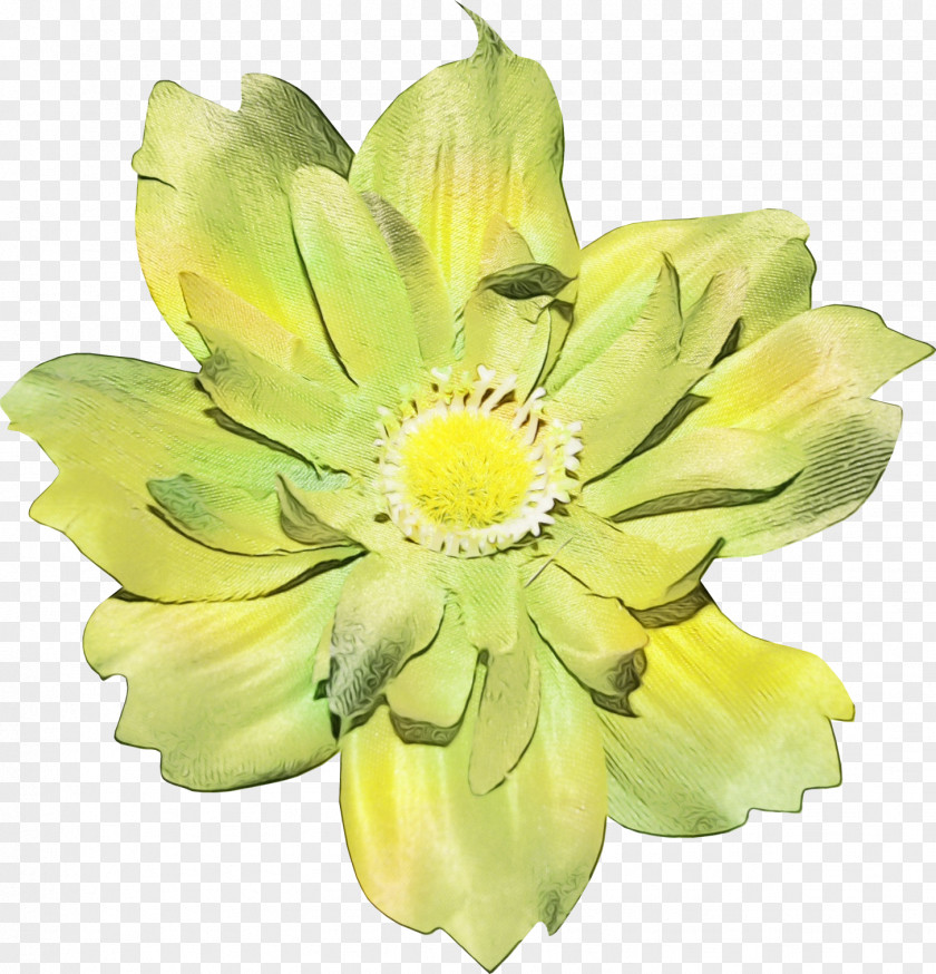 Gerbera Sunflower Floral Design PNG