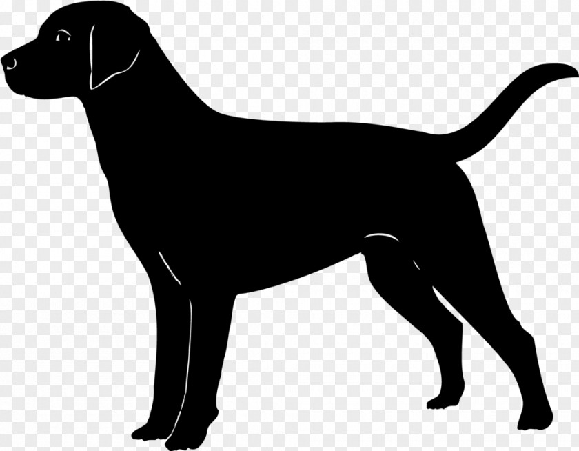 Golden Retriever Labrador Puppy Clip Art PNG