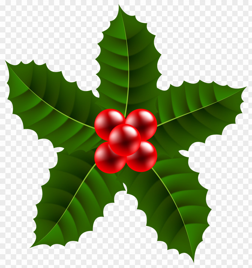 Mistletoe Christmas Clip Art PNG