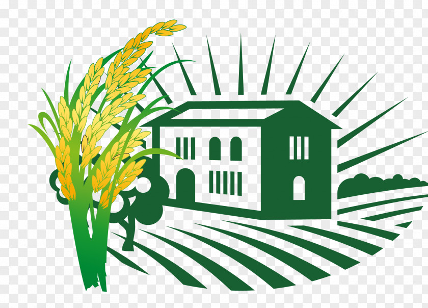 Vector Sowing Rice Landscape Euclidean PNG