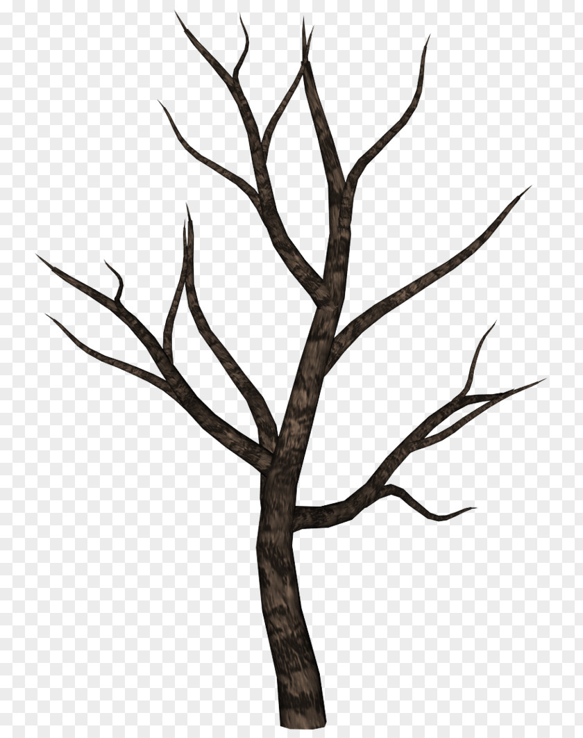 Creepy Tree Oak Clip Art PNG