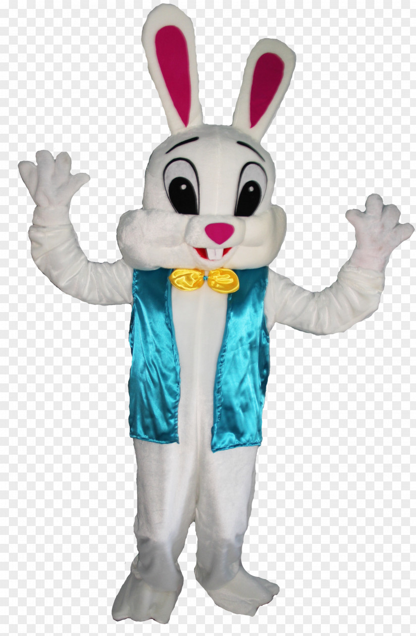 Easter Bunny Snow Cone Costume Rabbit PNG