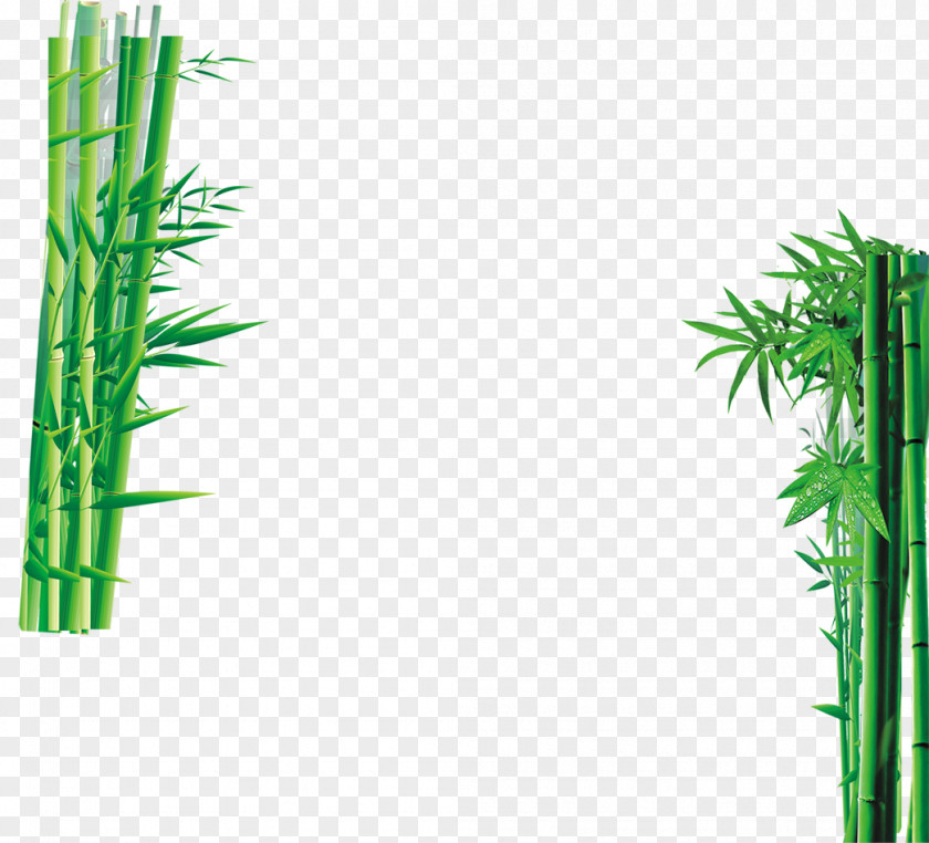 Green Bamboo Sweet PNG