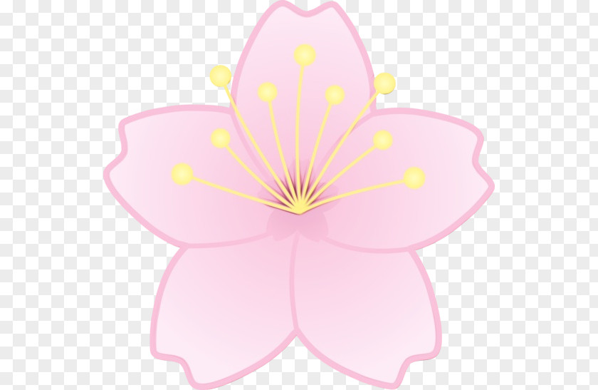 Wildflower Herbaceous Plant Pink Petal Clip Art Flower PNG