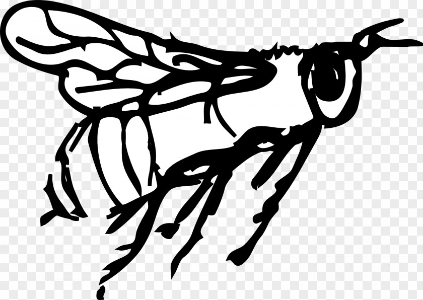 Bee Drawing Art Fly PNG