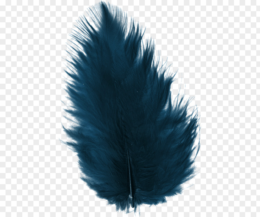 Feather Decoration Euclidean Vector Blue PNG