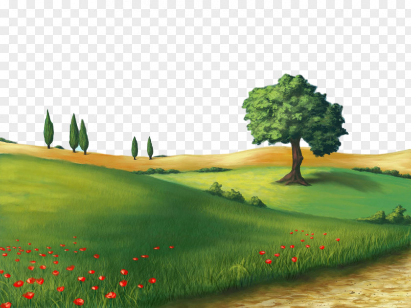 Hill Tree Natural Landscape Nature Grassland Green Environment PNG