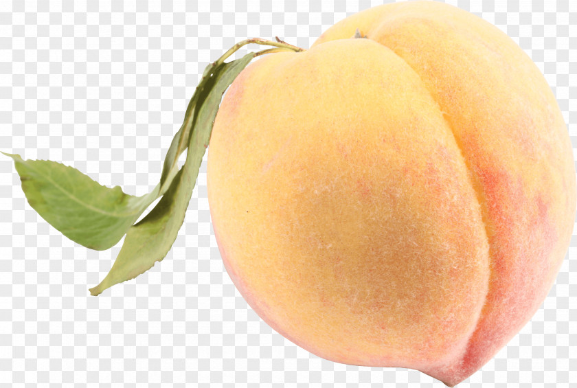 Peach Image Saturn Nectarine Galette Fruit PNG