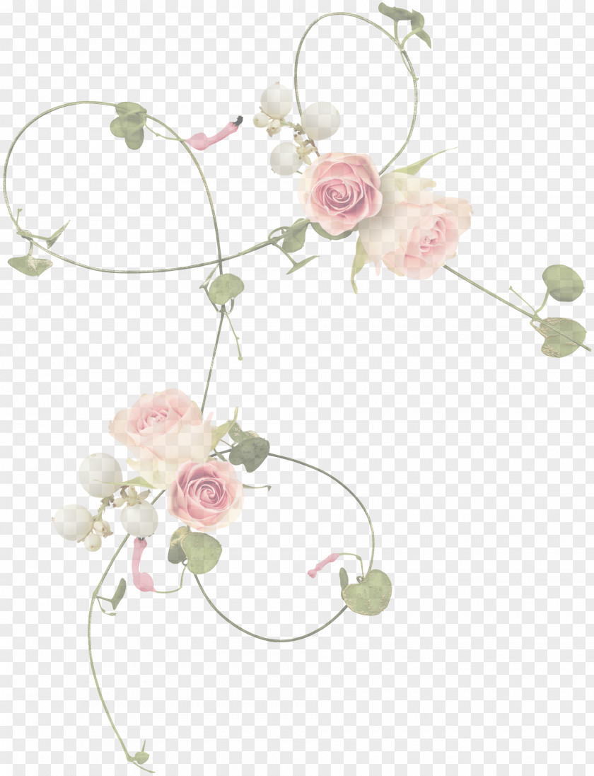 Petal Branch Baby Toys PNG