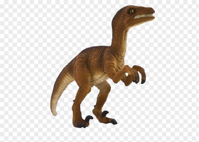 Dinosaur Velociraptor Tyrannosaurus Toy Animal PNG