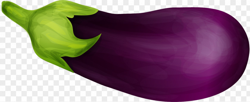 Hand-painted Purple Eggplant Food Vegetable PNG
