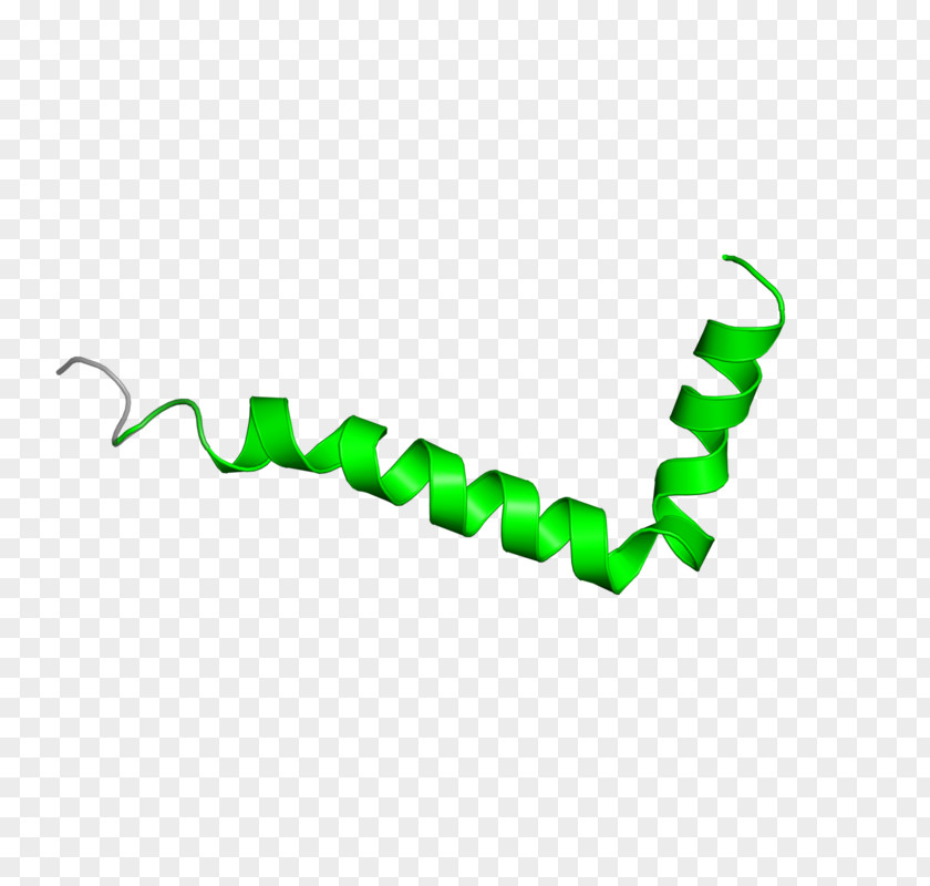 Line Angle Clip Art PNG