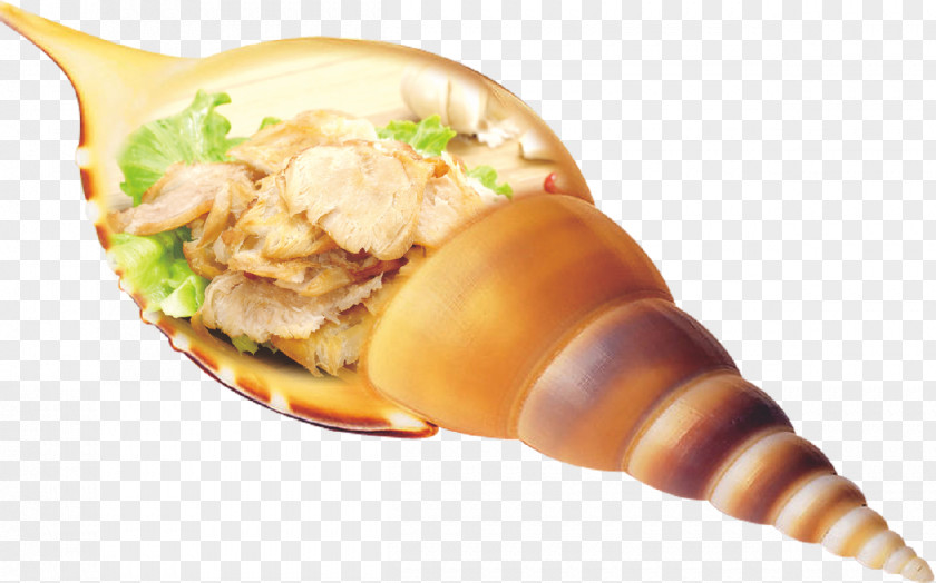 Conch Seafood Poster PNG