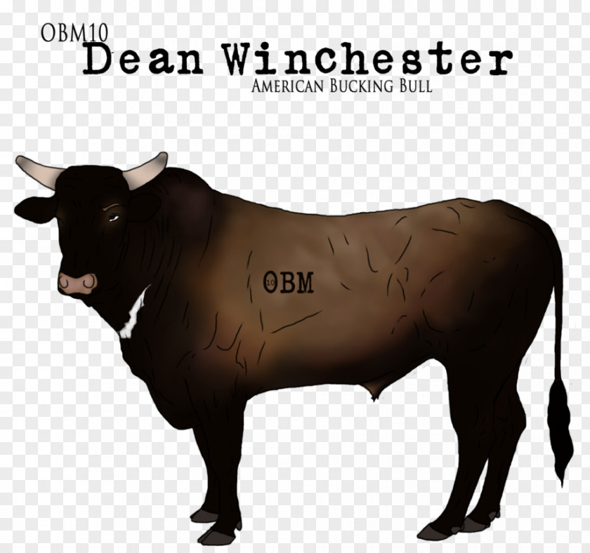 Dean Winchester Zebu Dairy Cattle Ox Bull Horn PNG