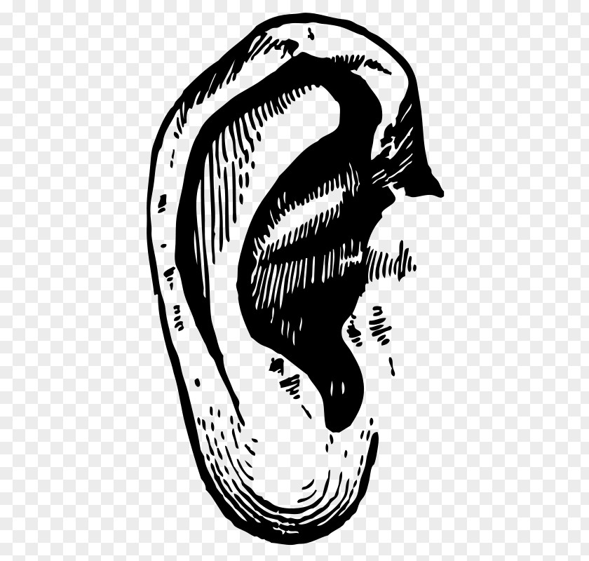 Ear Clip Art PNG