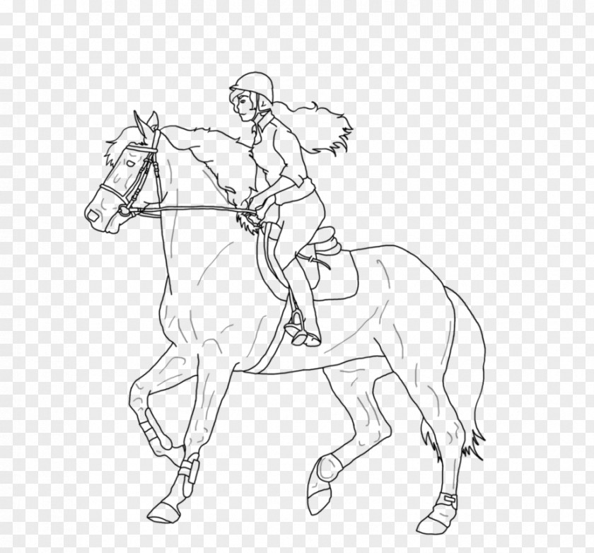 Horse Line Art Bridle Equestrian Mane PNG