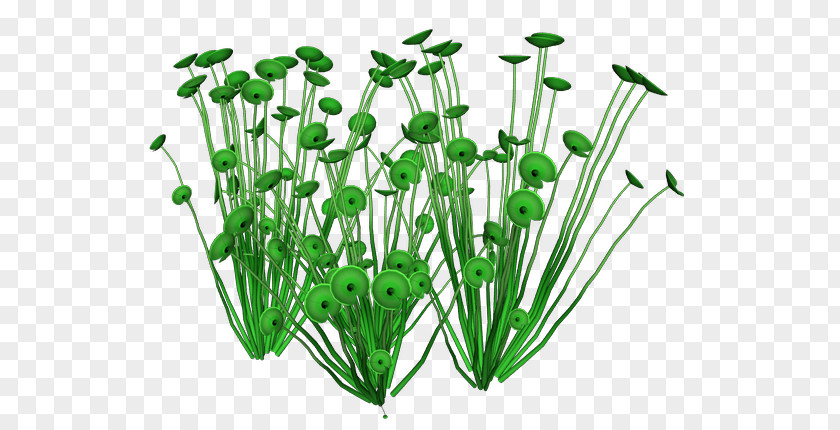 Ocean Plants Leaf Vegetable Herb Flowerpot Plant Stem PNG