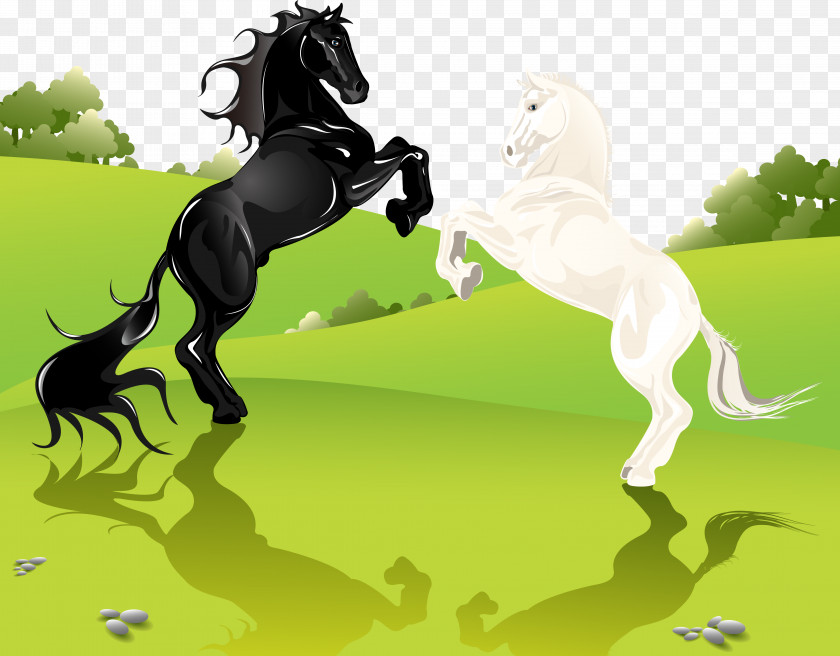 Vector Horse Prairie Euclidean Royalty-free Illustration PNG