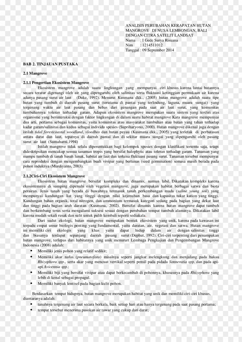 Line Plum Branch Document Angle White PNG