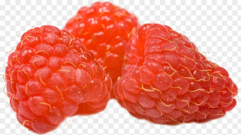 Raspberry Strawberry Loganberry Tayberry PNG